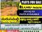 Open plot sale for Marusapalli